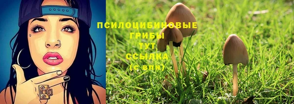 прущие грибы Балахна