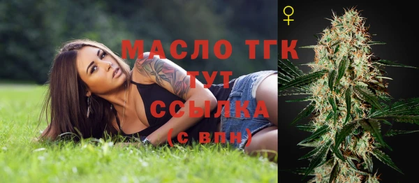 прущие грибы Балахна