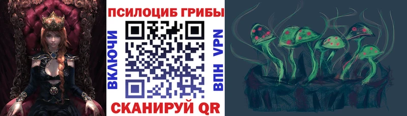 Галлюциногенные грибы MAGIC MUSHROOMS  мориарти клад  Могоча  хочу наркоту 